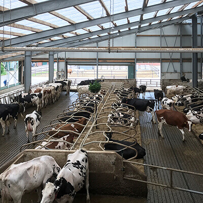 marketing ag-tech, innovation agriculture Chilliwack